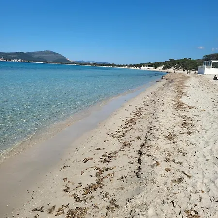 Alojamento de Acomodação e Pequeno-almoço Riu 4*